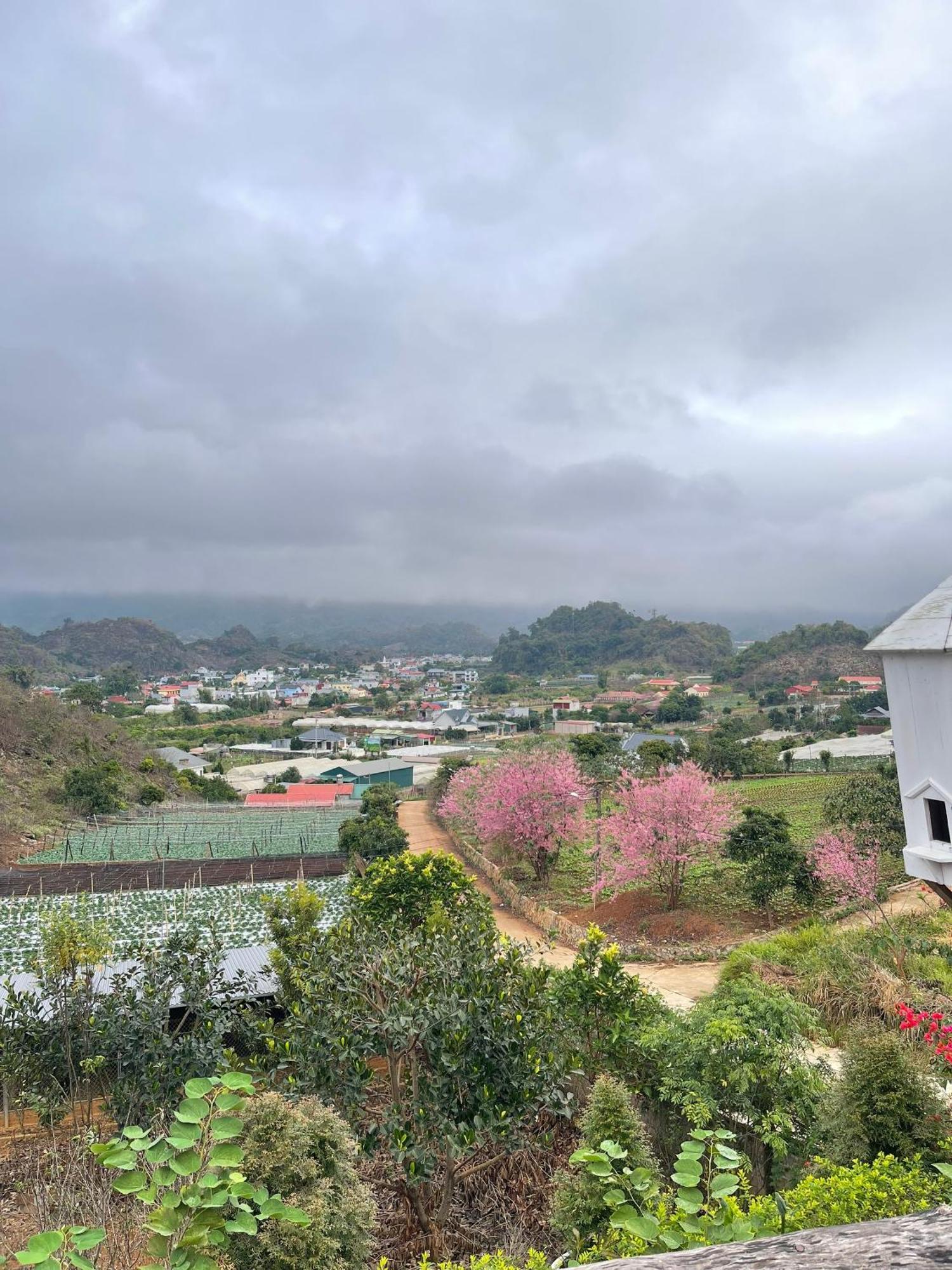 Doi Thong Homestay Moc Chau - By Bay Luxury ソンラ エクステリア 写真